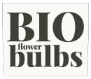 BIO flower bulbs